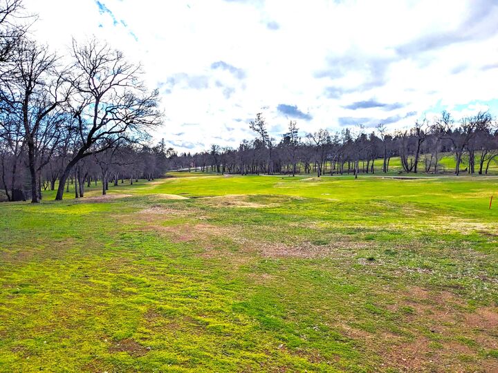 Property Photo:  19417 Belleterre Drive  CA 96003 