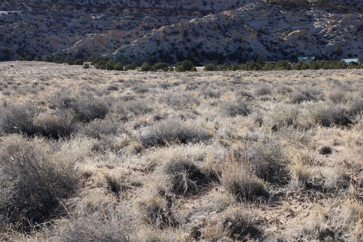 Property Photo:  140 E Teasdale Rd  UT 84773 