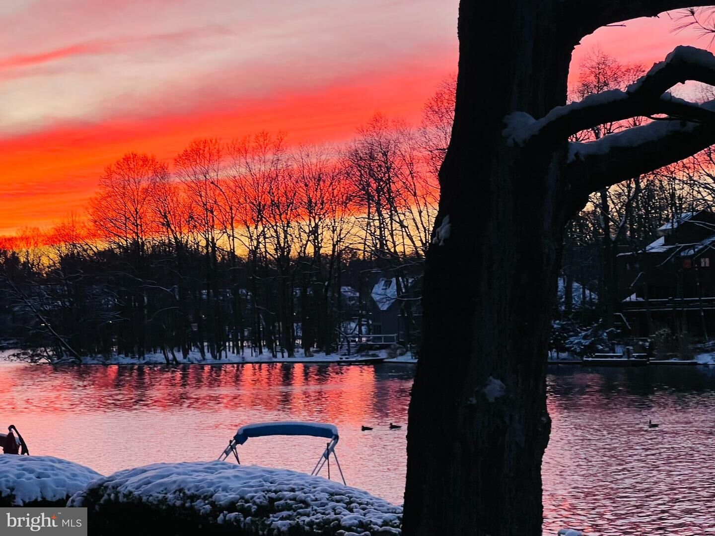 Property Photo:  11292 Harbor Court 1292  VA 20191 