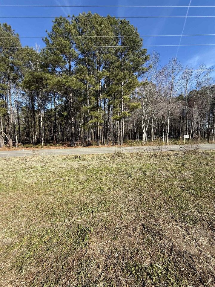 Property Photo:  Tract 2 Highway 668  SC 29526 