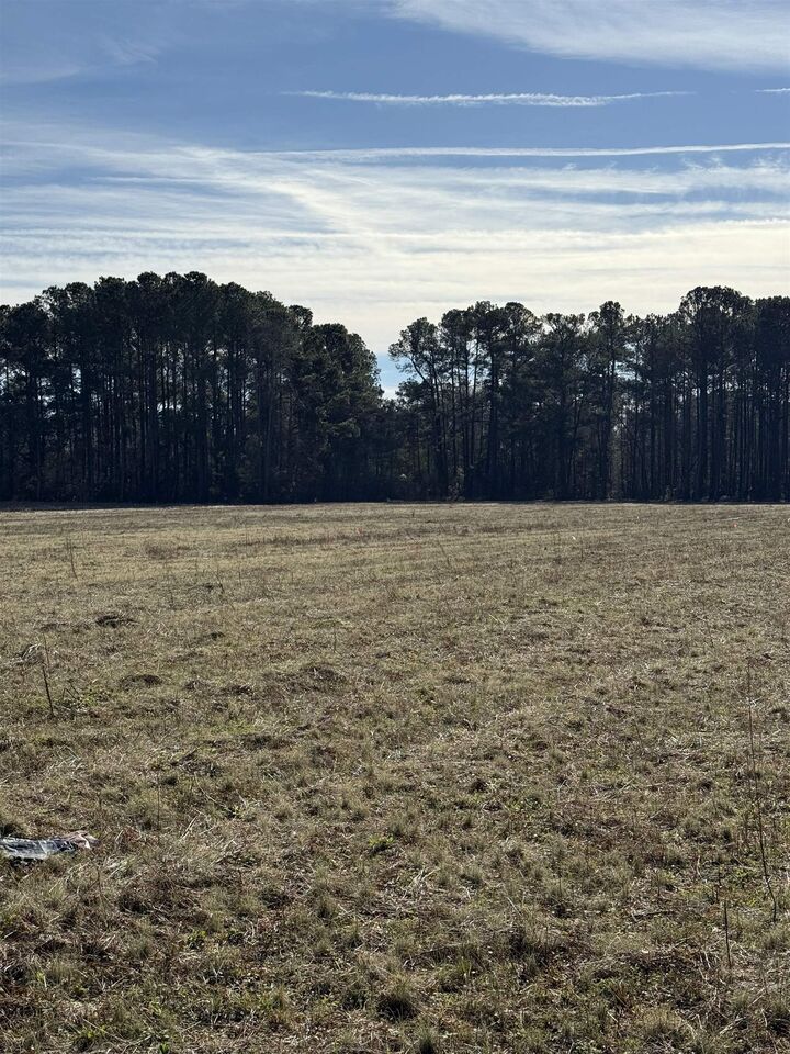 Property Photo: Lot 5 Johnson Shelley Rd. SC 29526