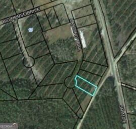 Property Photo: Lot 35 Landing Trail GA 31566