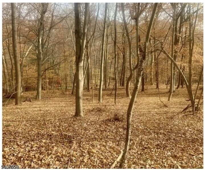 Property Photo: 85 Cherryville Hollow Rd NJ 08822