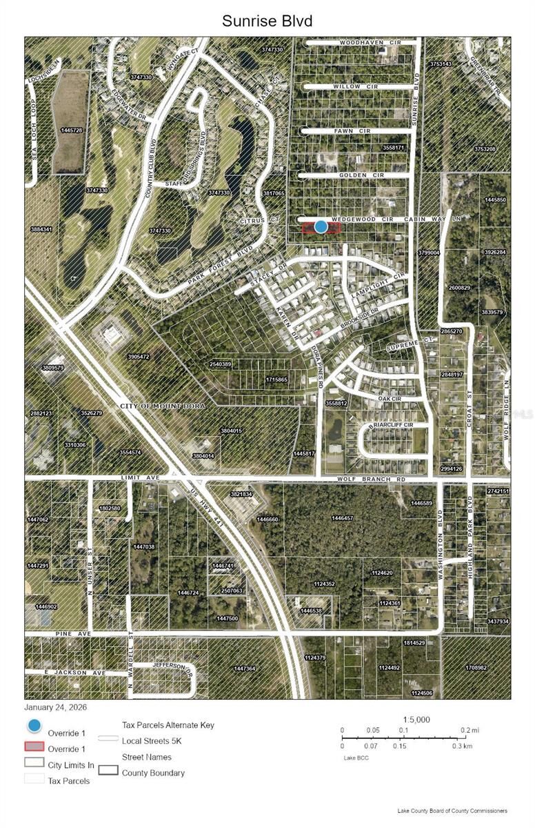 Property Photo:  Sunrise Boulevard  FL 32757 