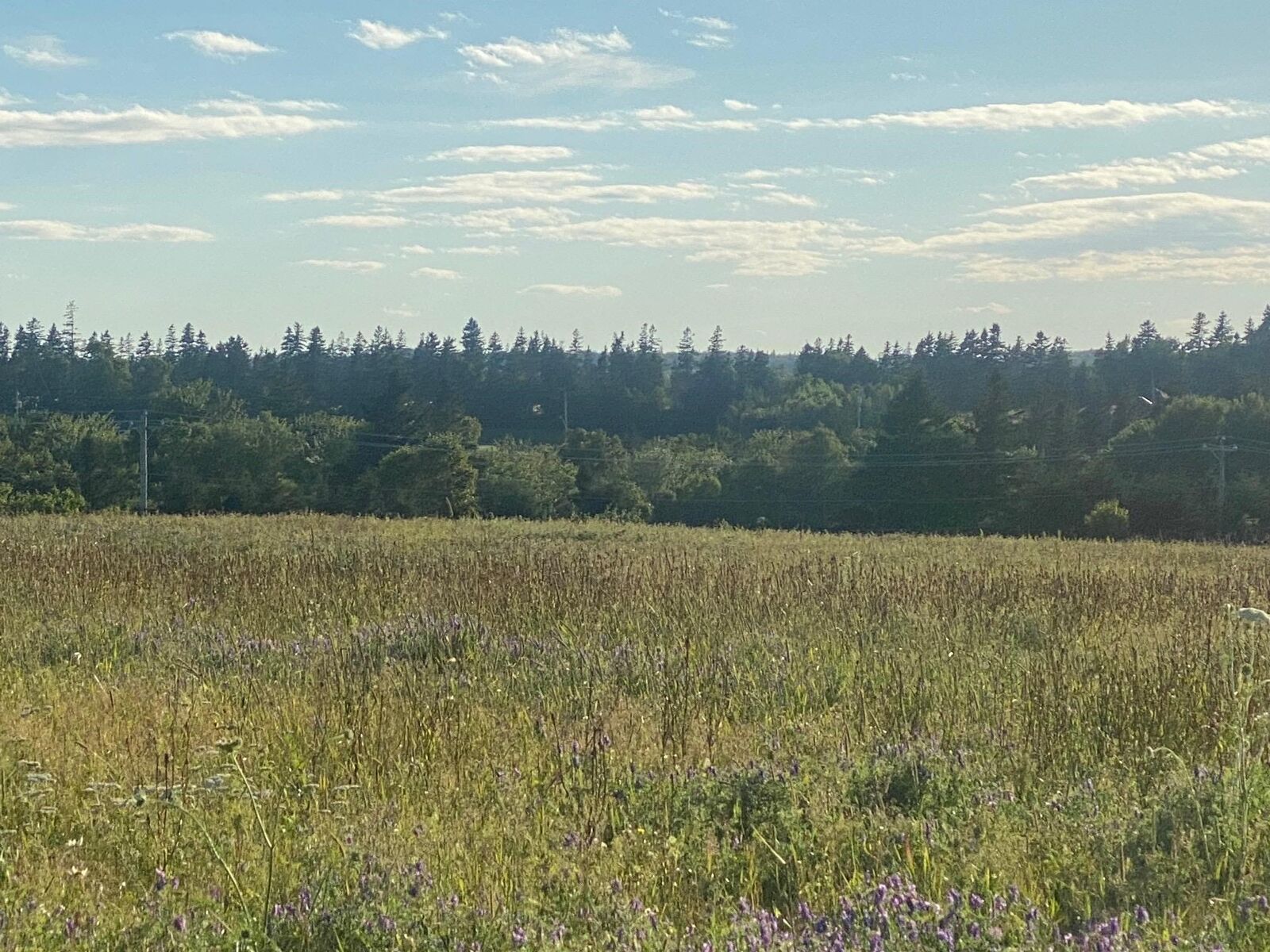 Photo de la propriété:  15 Rose Lane  PE C0A 1E0 