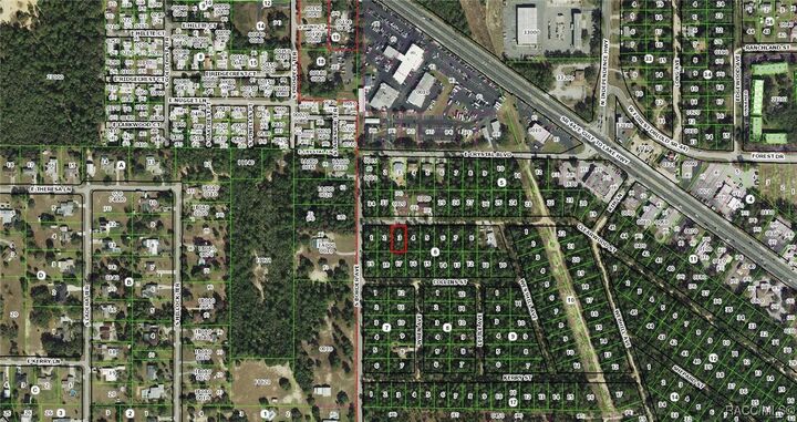 Property Photo:  3003 Clearwood Street  FL 34452 