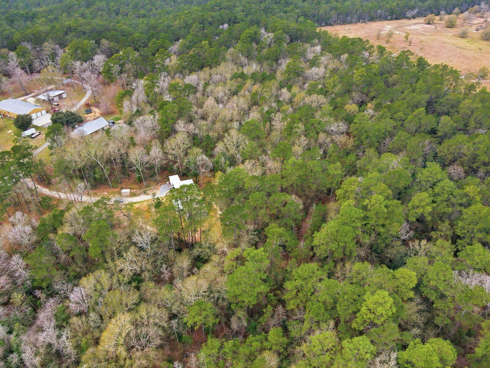 Property Photo:  7965 Hwy12  TX 77632 