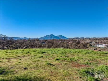 Property Photo: 3642 Old Highway 53 Highway CA 95422