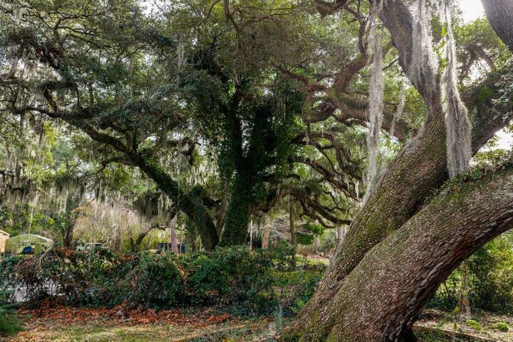 Property Photo:  10670 Ocean Hwy.  SC 29585 