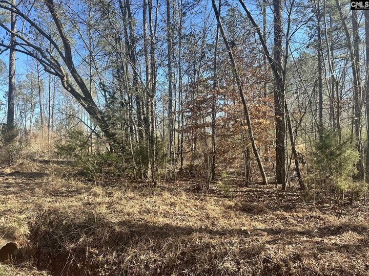 Property Photo:  0 Morris  SC 29127-0000 