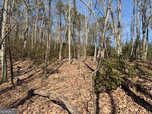 Property Photo: Lt 1502 Raspberry Lane GA 30523