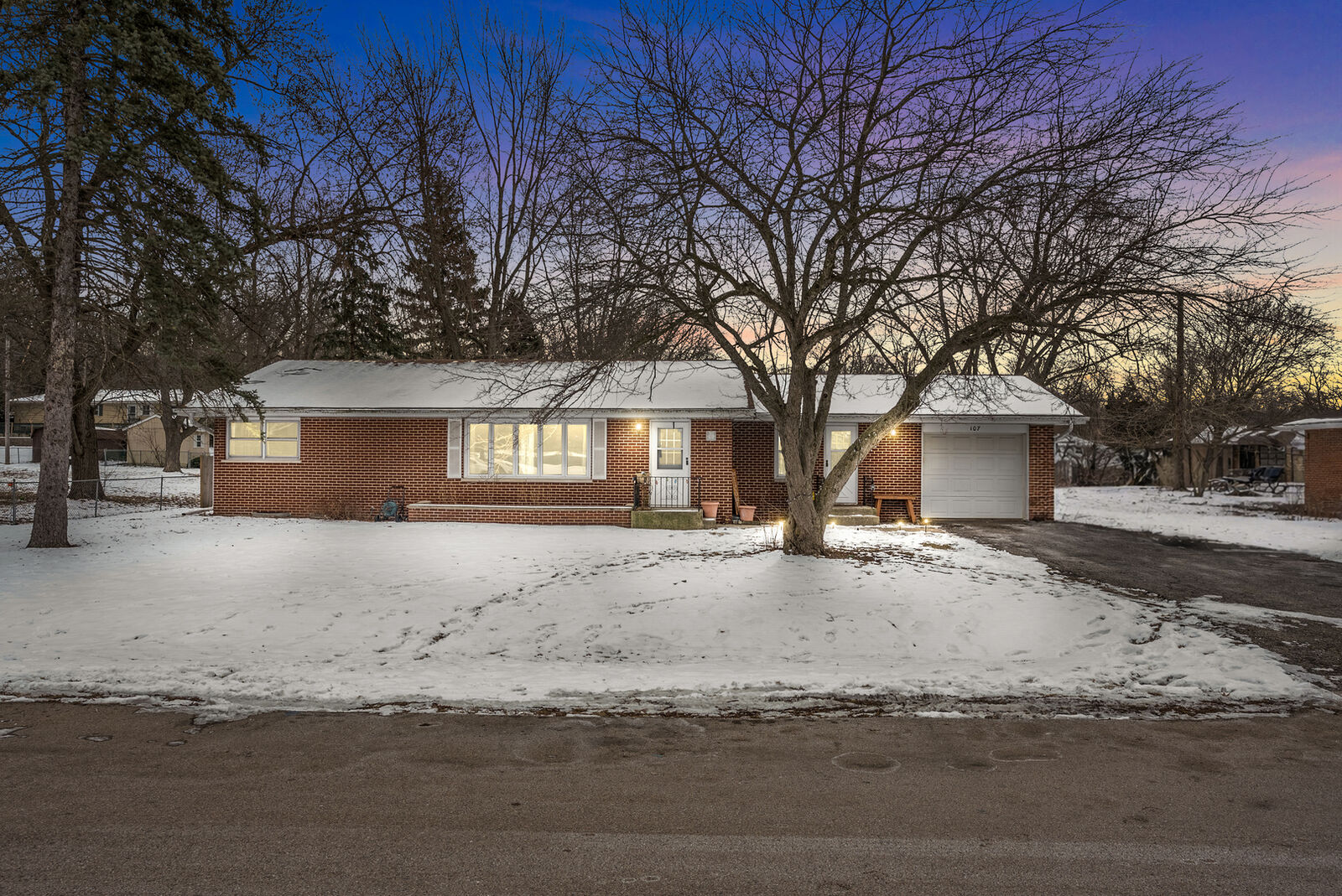 Property Photo:  107 Fellemore Lane  IL 60538 