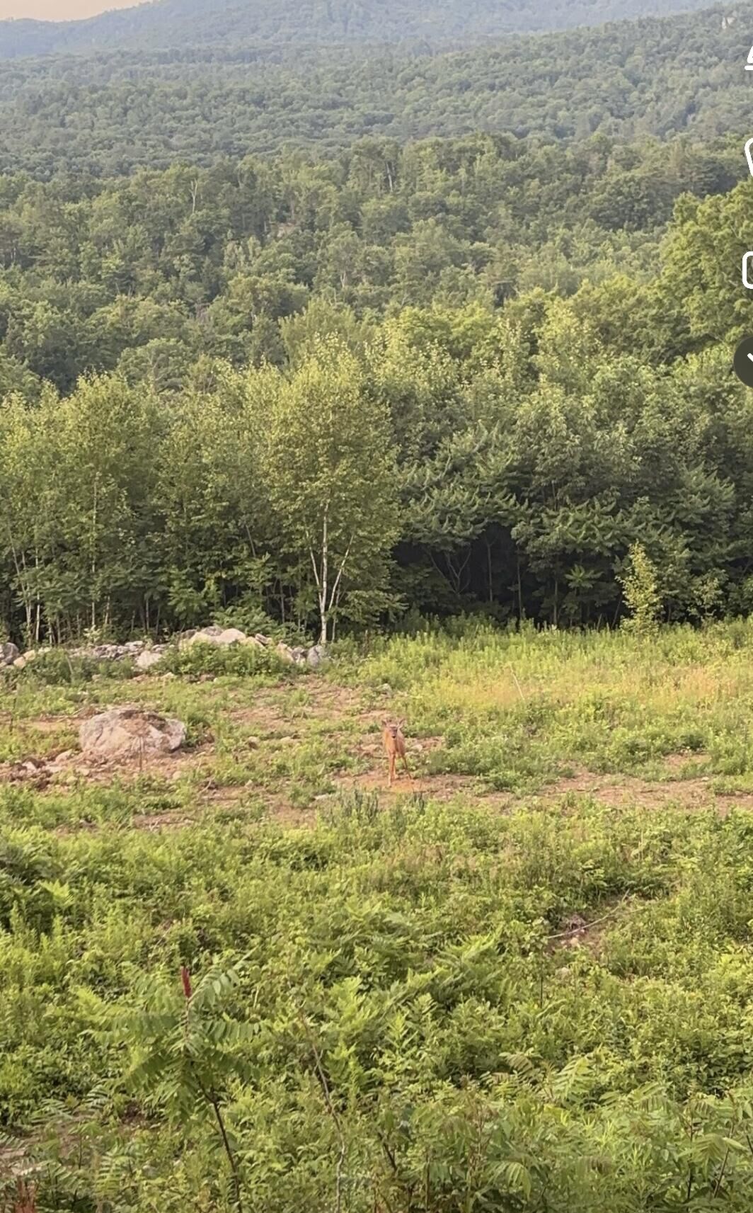 Property Photo:  1882 North Road  ME 04020 