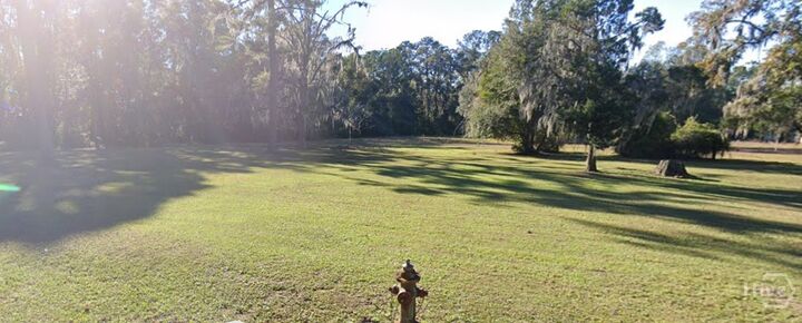 Property Photo: 7.22 Ac Dunlevie Road GA 31301