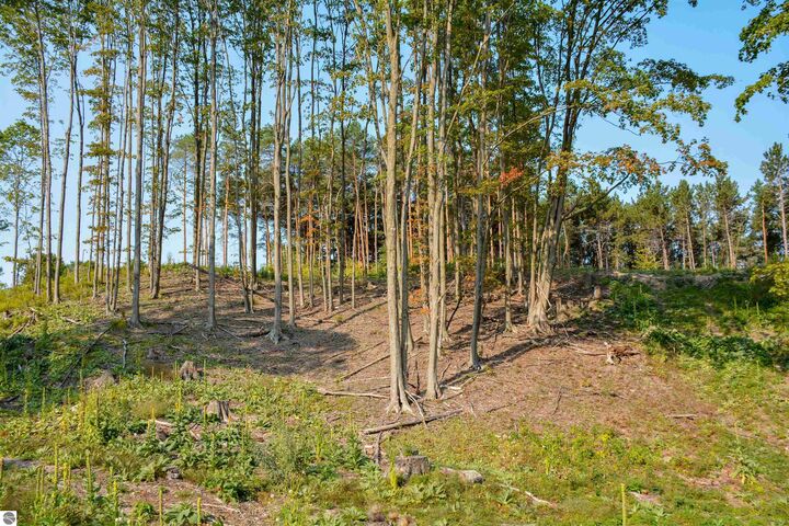 Property Photo:  E Carter Road  MI 49684 