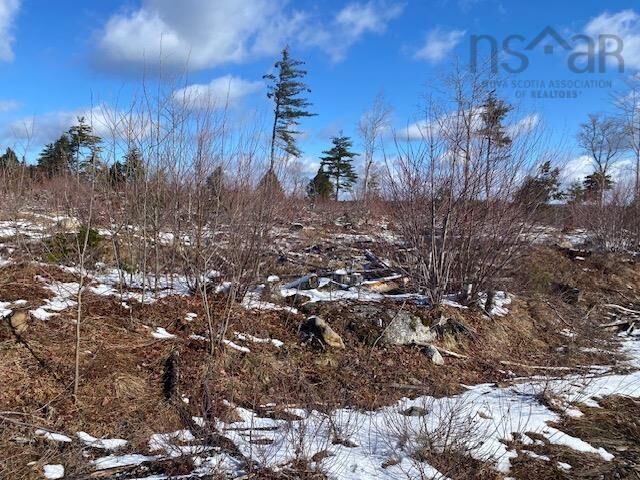 Property Photo:  No.8 Highway Maitland Bridge  NS B0T 1B0 