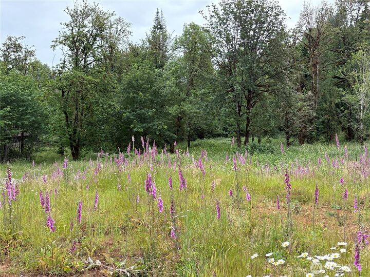 Property Photo:  155  Benson Lane  WA 98611 