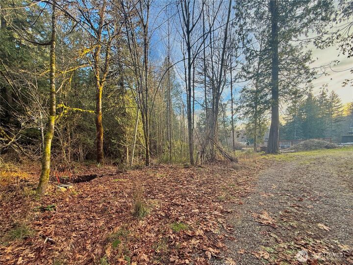 Property Photo: 680 E State Route 302 WA 98528