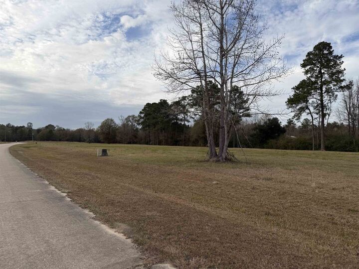 Property Photo:  Lot #3 Northbrook Dr  TX 77662 