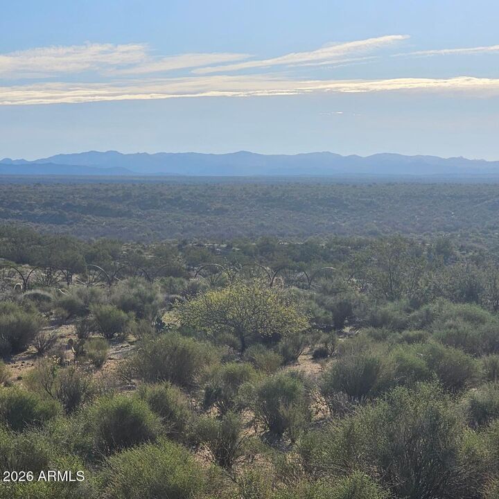 Property Photo: 22290 W Gayle Court 61 AZ 85332