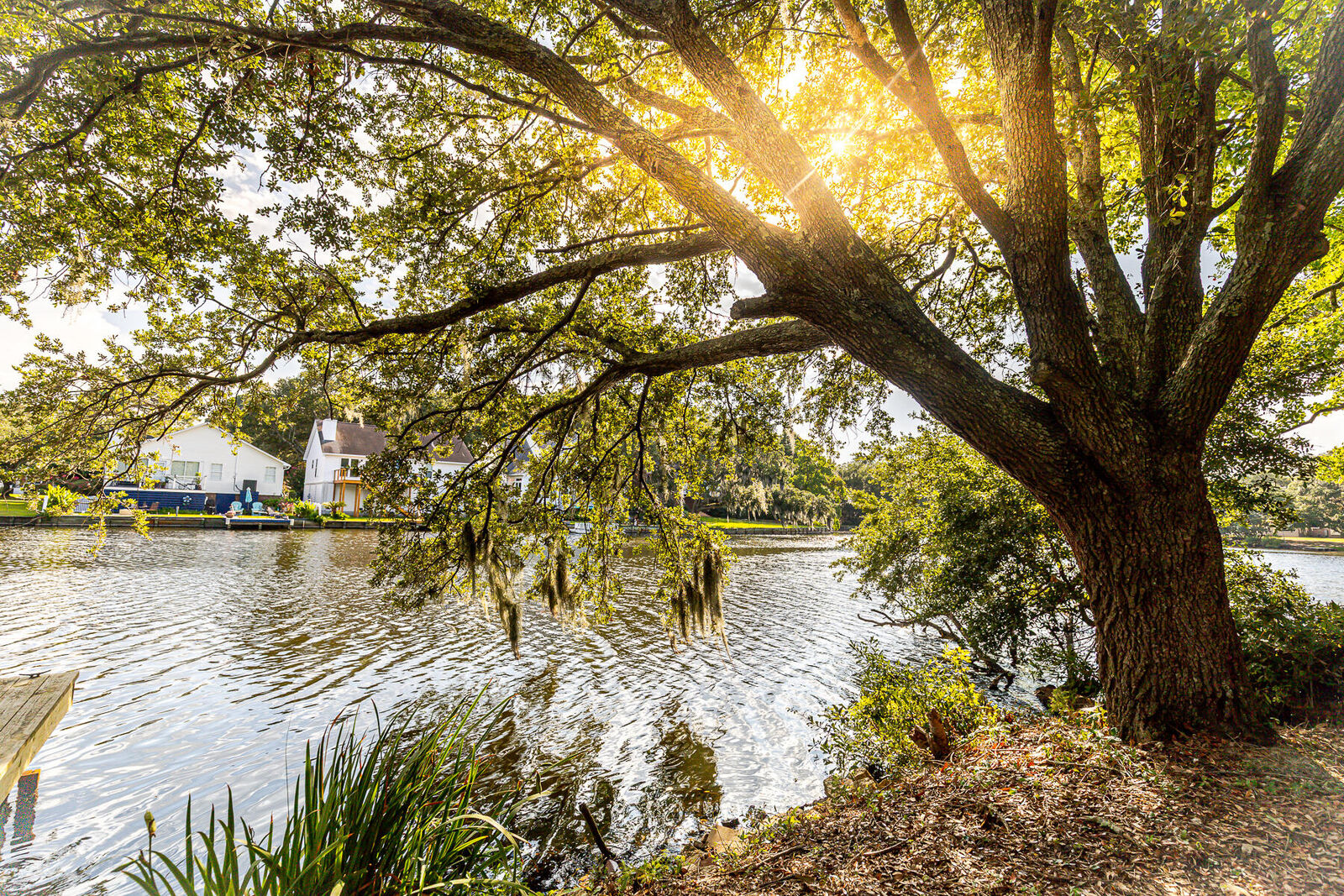 Property Photo: 713 Lake Frances Drive SC 29412