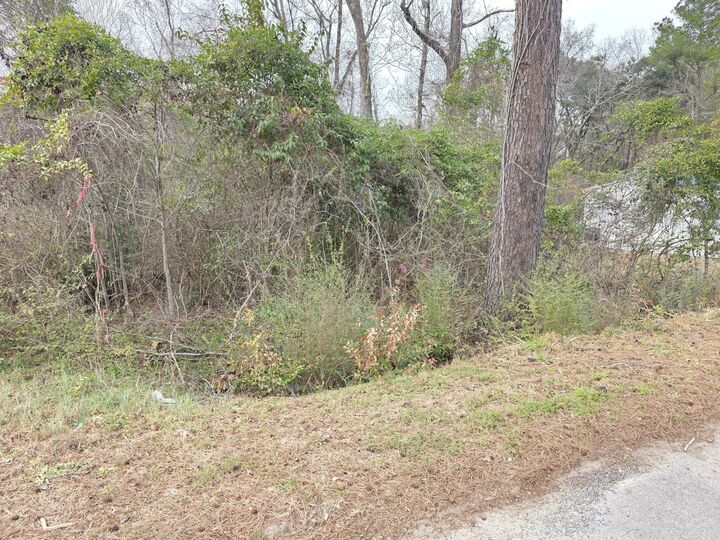 Property Photo:  0 Mitten Road  SC 29461 