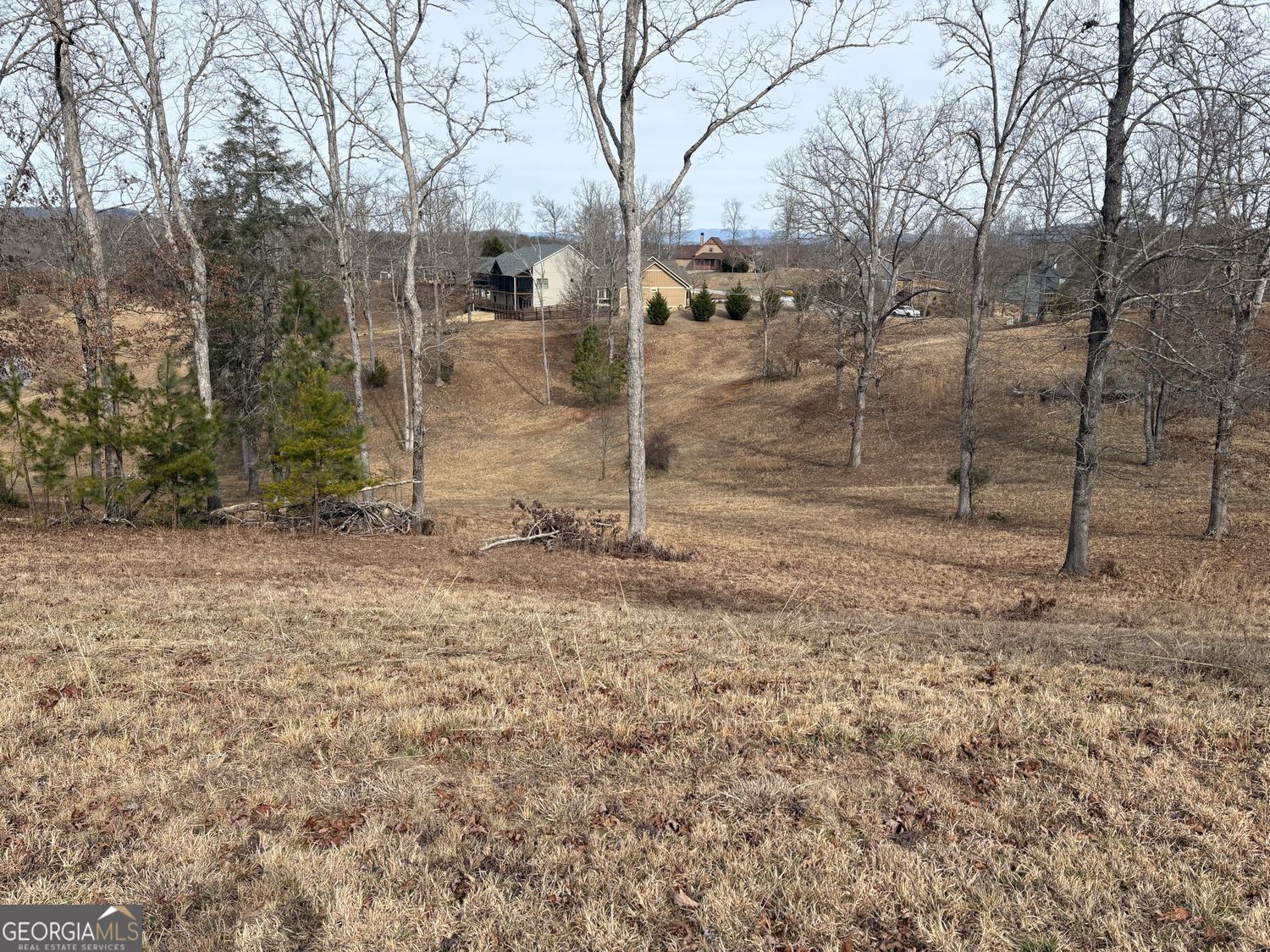 Property Photo:  Lot 29 Hogue Way  GA 30512 