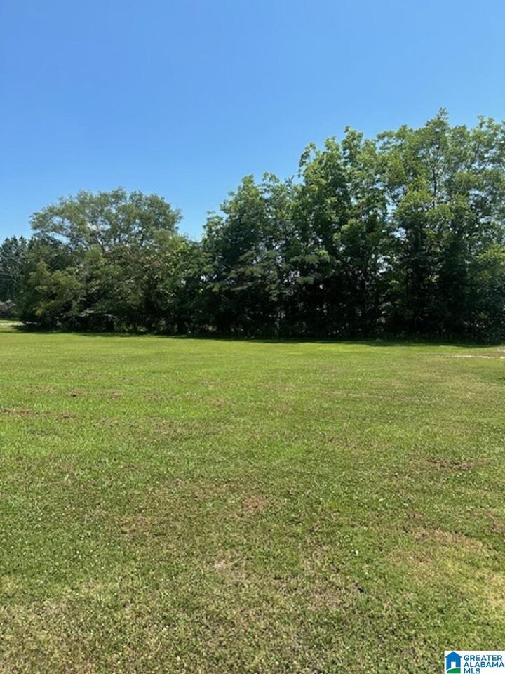 Property Photo: 0 County Road 437 0 AL 35057