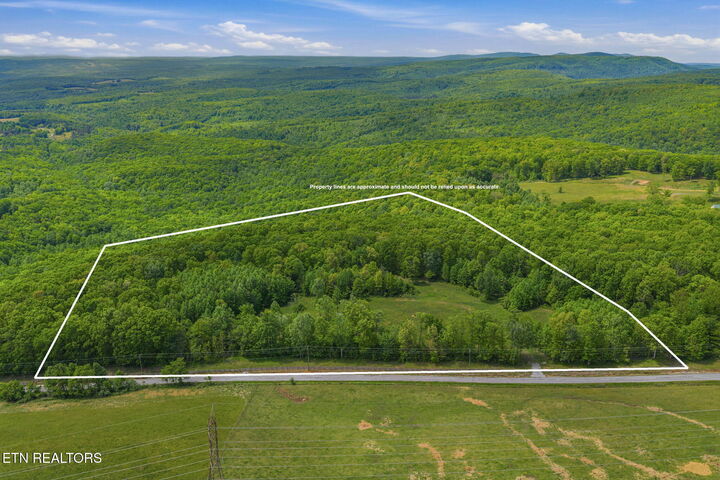 Property Photo:  3835 Millstone Mountain Rd  TN 37854 
