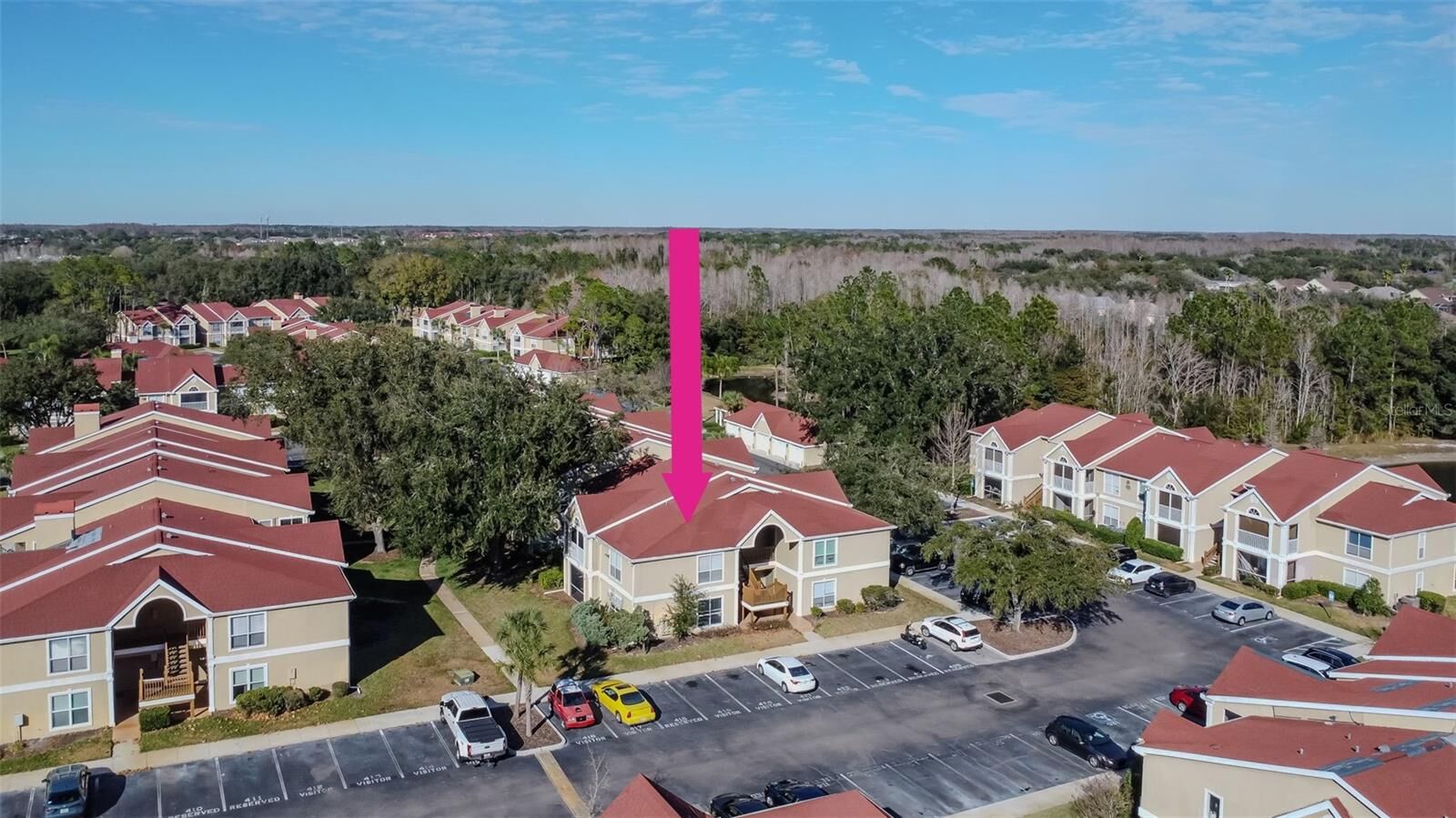 Property Photo: 9481 Highland Oak Drive 1506 FL 33647