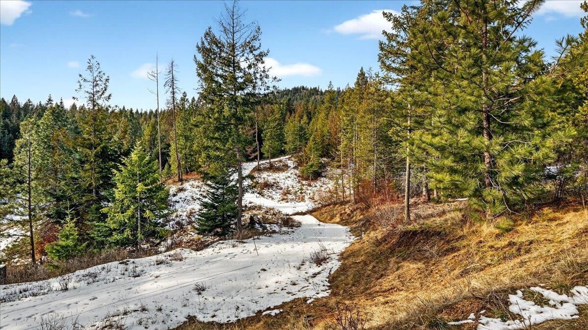 Property Photo: 4467 F Williamson Rd WA 99110