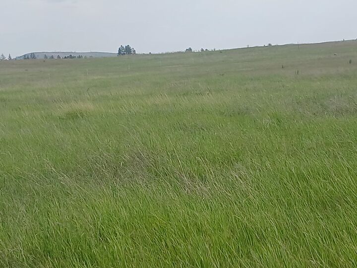 Property Photo:  295xx W Hallett Rd  WA 99022 