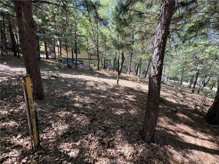 Property Photo:  28195 N Bay Road  CA 92352 