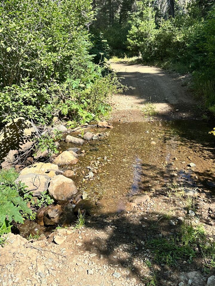 Property Photo: 19231 Marsh Mill Road CA 95959