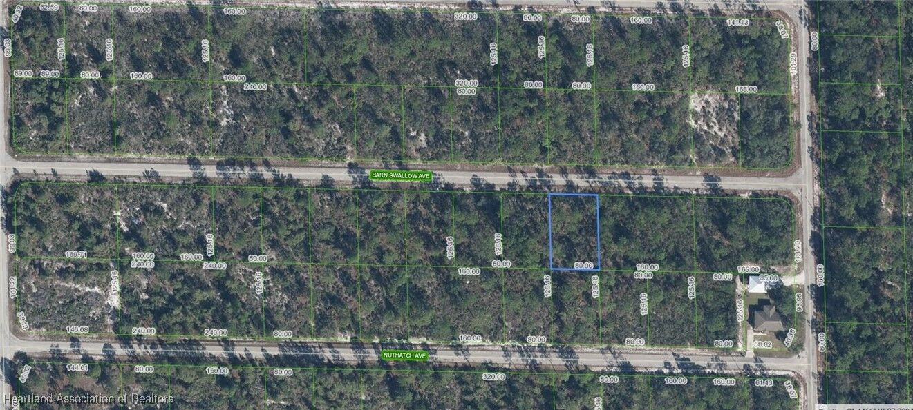 Property Photo:  3344 Barn Swallow Avenue  FL 33852 