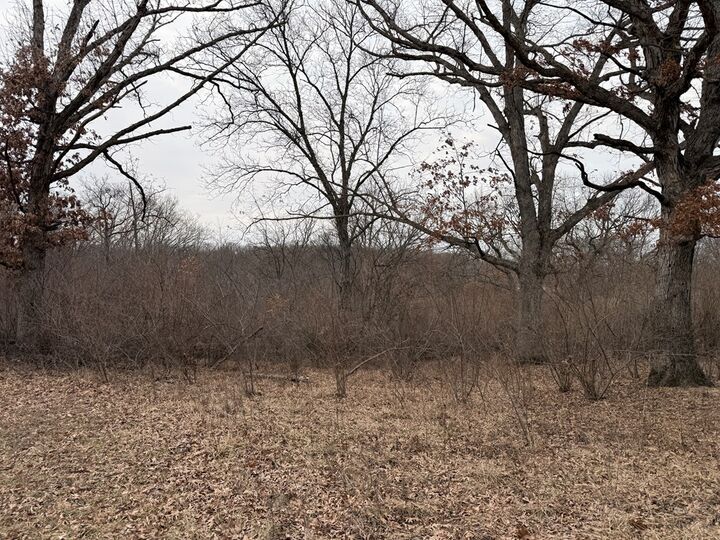 Property Photo: Xxx Crest Trail MO 63501