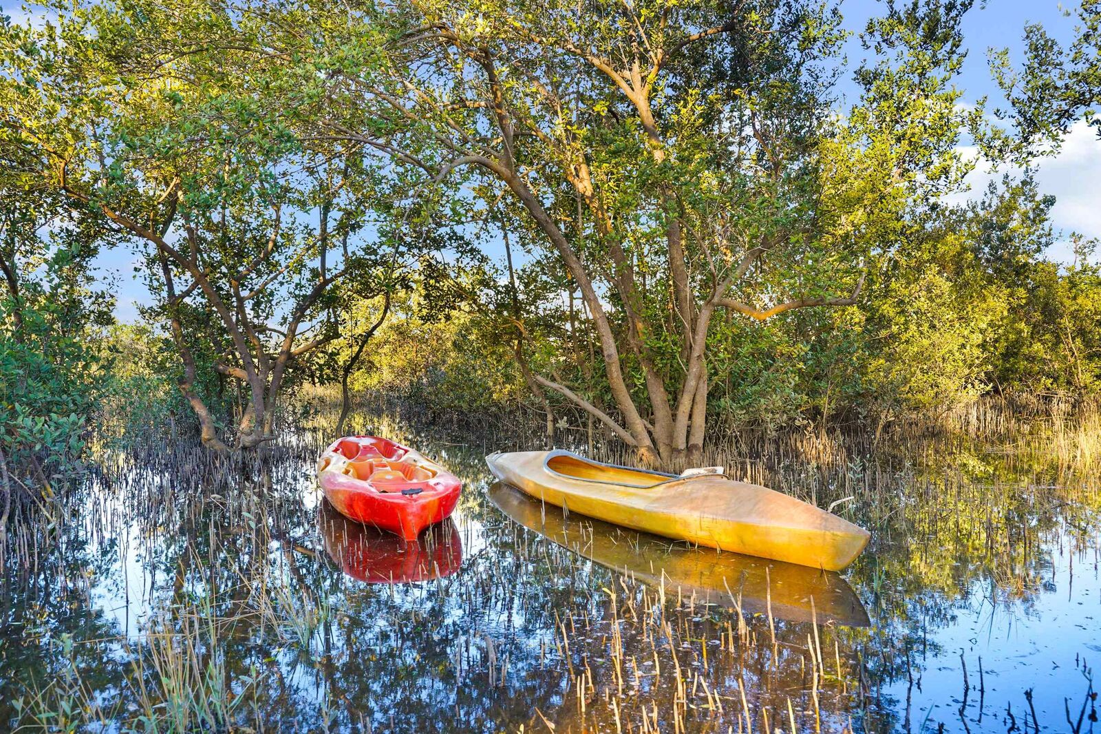 Property Photo: 224 Riberia Street FL 32084