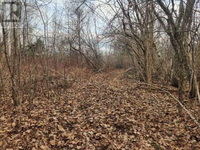 Property Photo:  8 Acres Cedar Road, Church Hill  NS B0N 1T0 