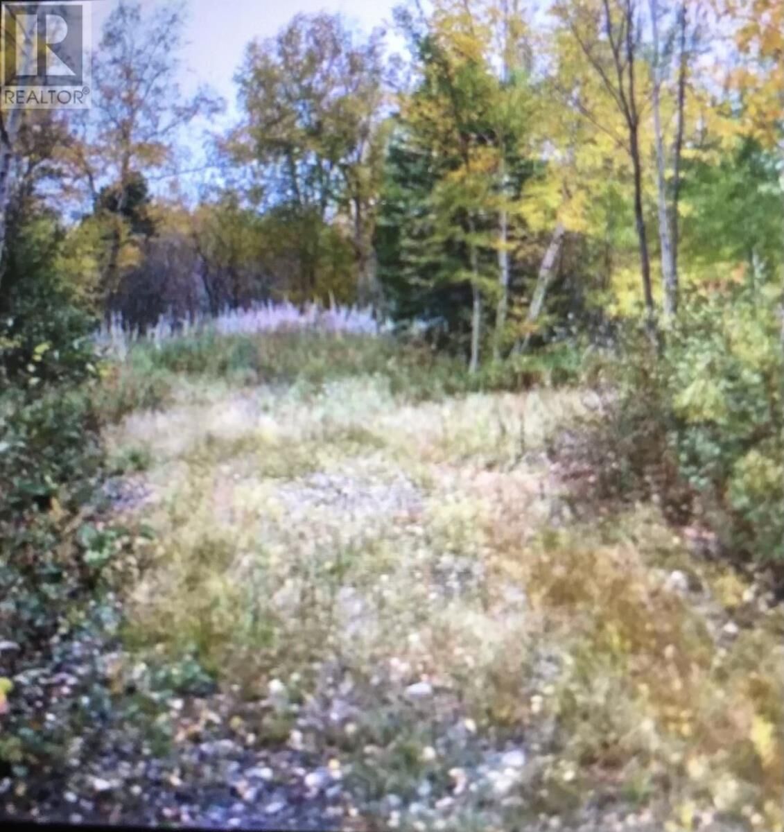 Property Photo:  260A Main Street  NL A0G 2B0 