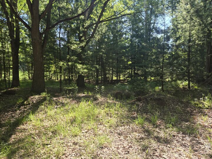 Property Photo: 704 N Morris Street MI 49449