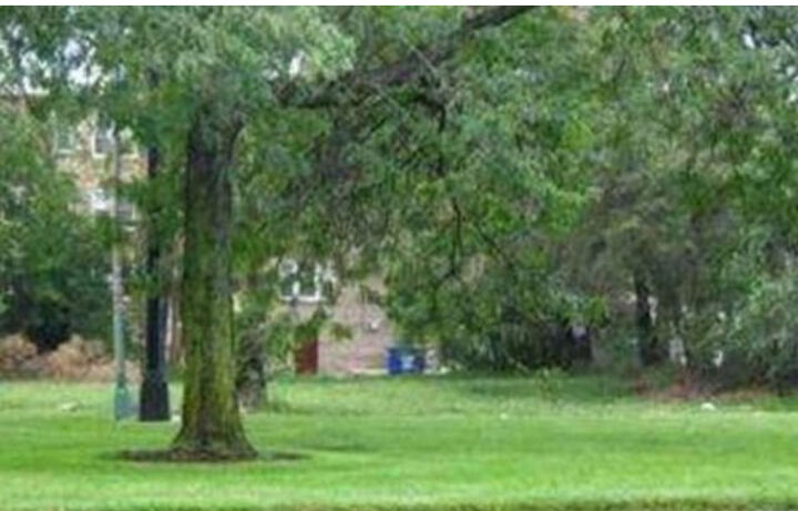 Property Photo:  8314 S Stony Island Avenue  IL 60617 