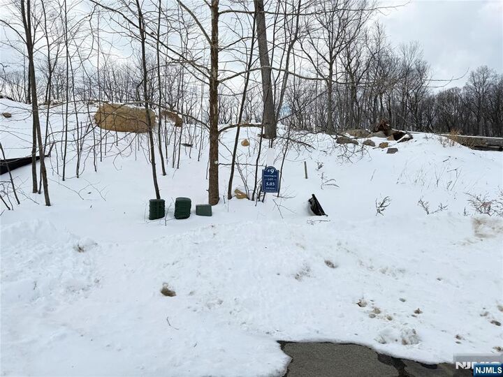 Property Photo:  9 Bristol Ridge Road  NJ 07005 