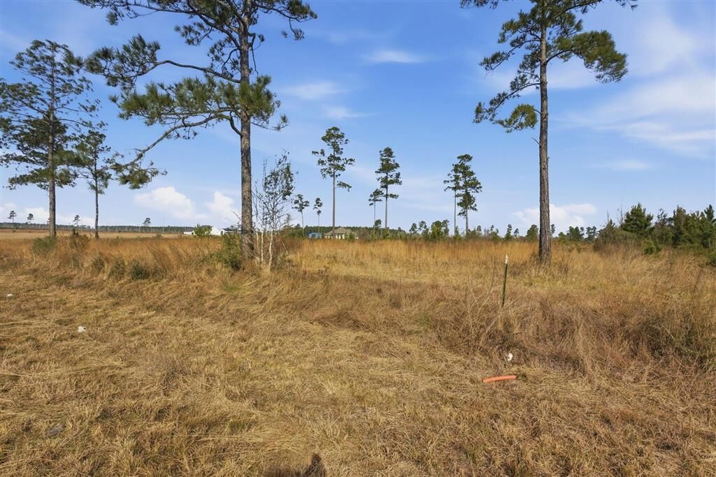 Property Photo:  Camp Edgewood Rd Road  LA 70633 