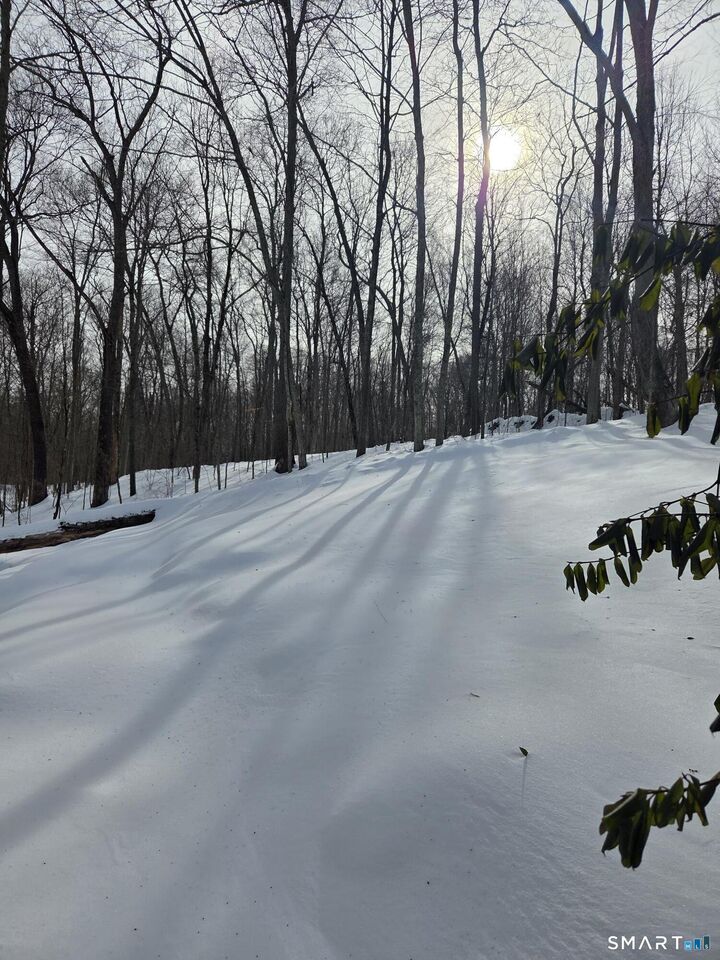 Property Photo:  277 Lake Road  CT 06232 