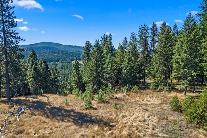 Property Photo: Nka Pines Rd WA 99156