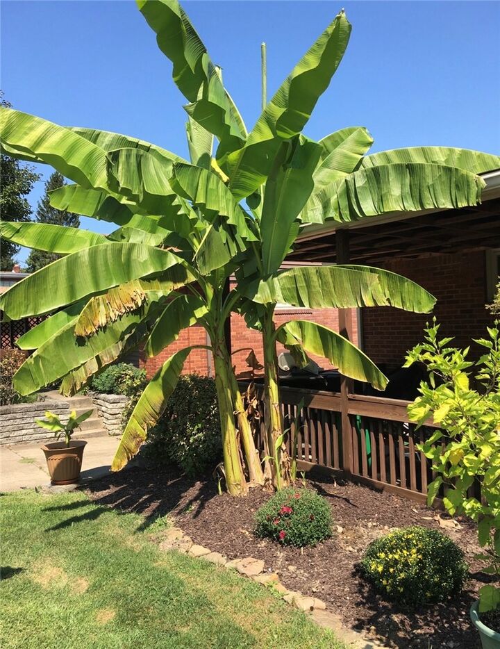 Property Photo:  422 Dunbar Dr.  PA 15235 