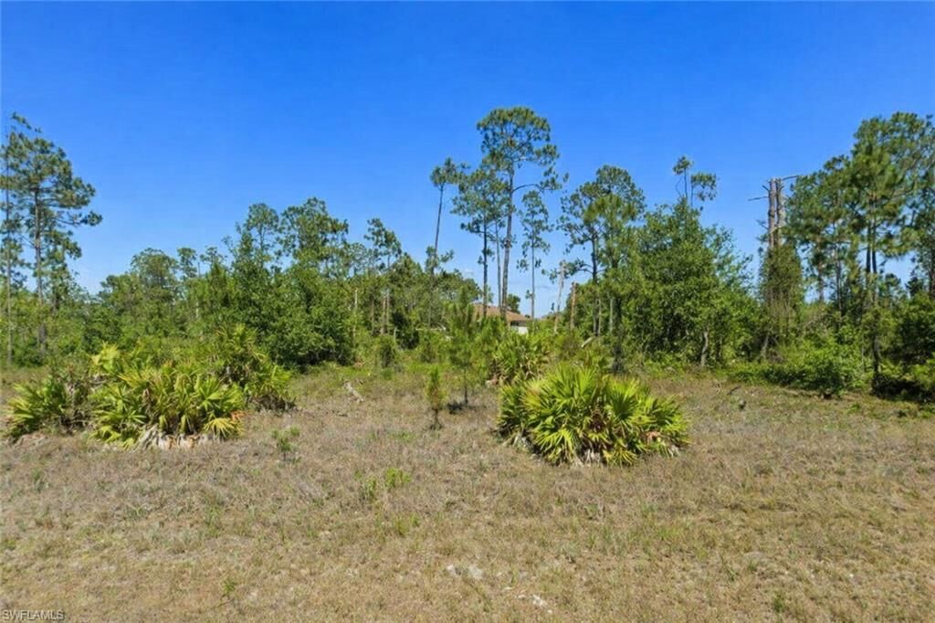 Property Photo:  749 Anaconda Ave S  FL 33974 