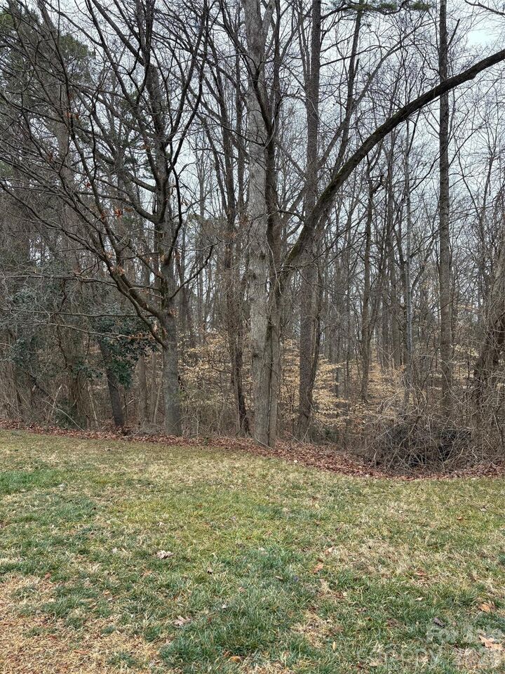 Property Photo:  1062 Elizabeth Manor Court  NC 28105 