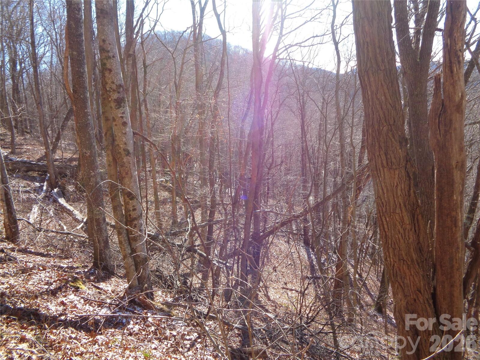 Property Photo:  00 Listening Cove 41  NC 28721 