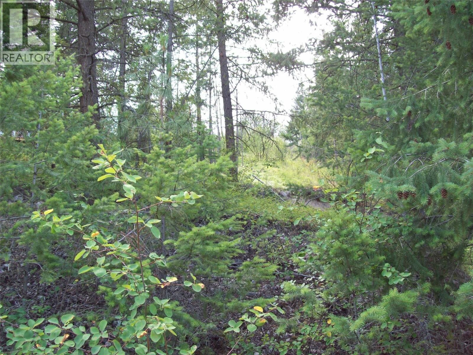 Property Photo:  358 Mountain Drive  BC V1M 2B4 